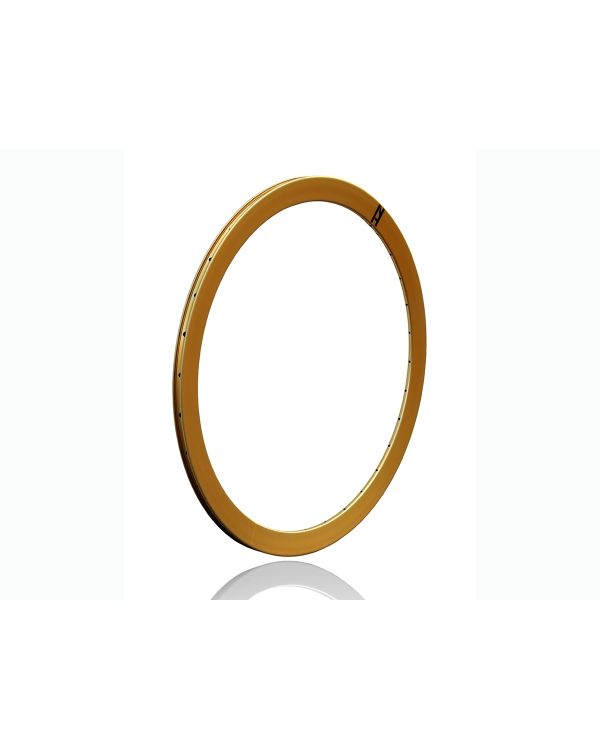 H+Son Formation Face - 700c - Gold NMSW