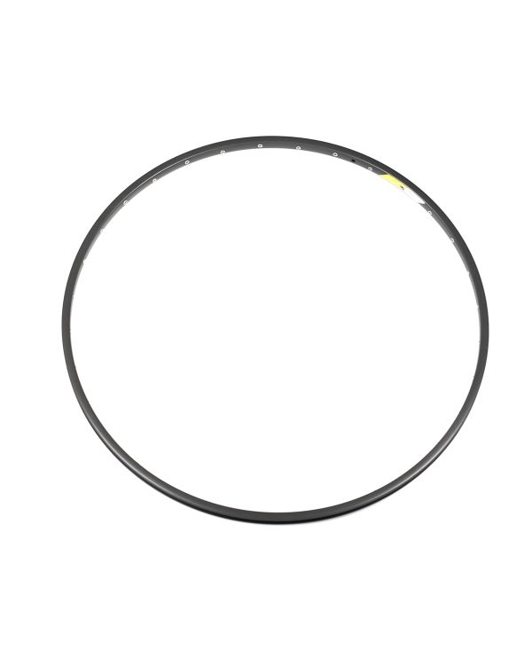 Campagnolo Omega 19 Rim - Black
